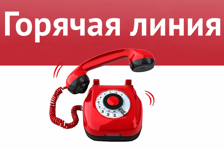 Телефон «горячей линии»